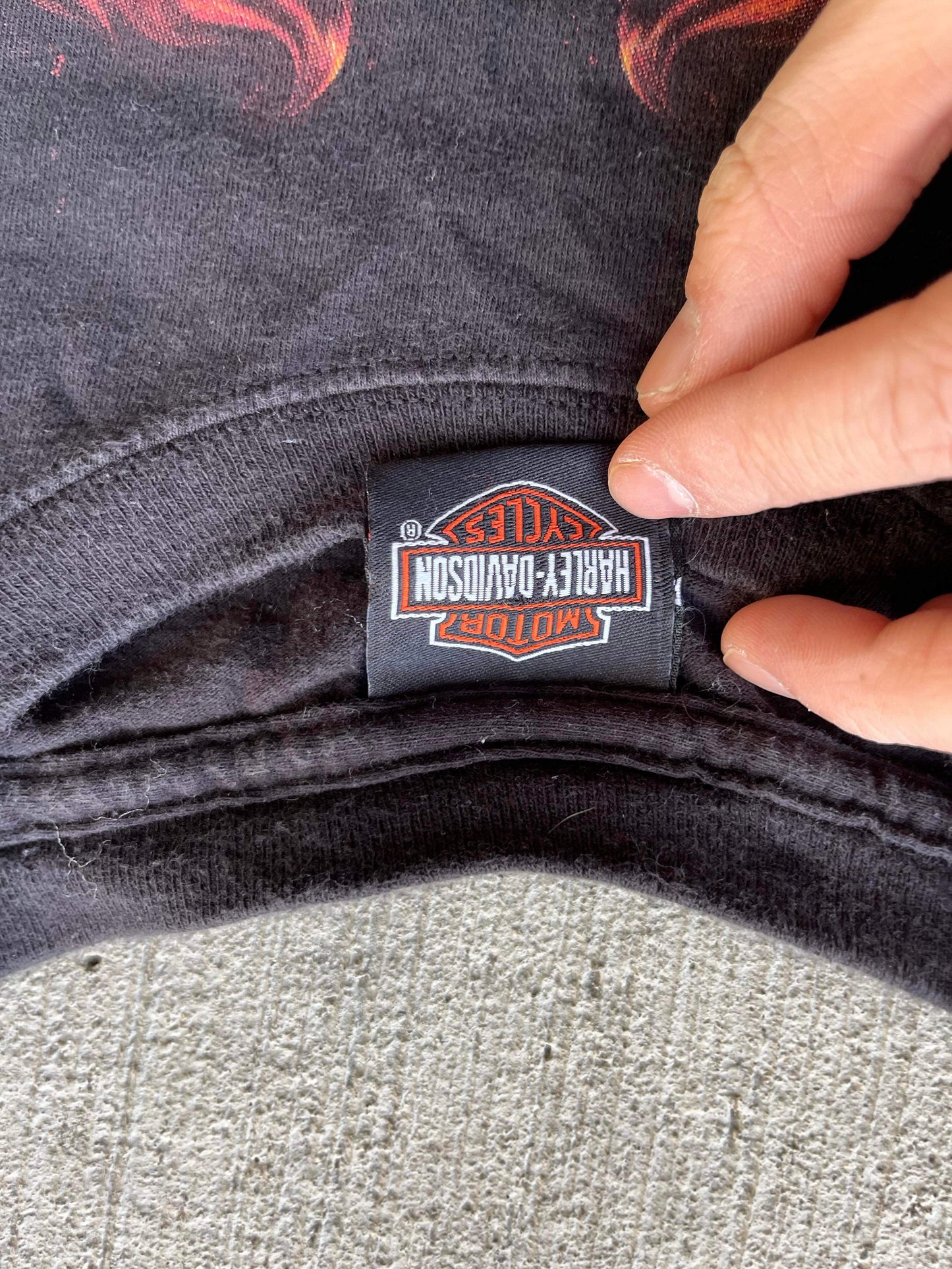 (S/M) Vintage Harley Davidson Cropped Tee