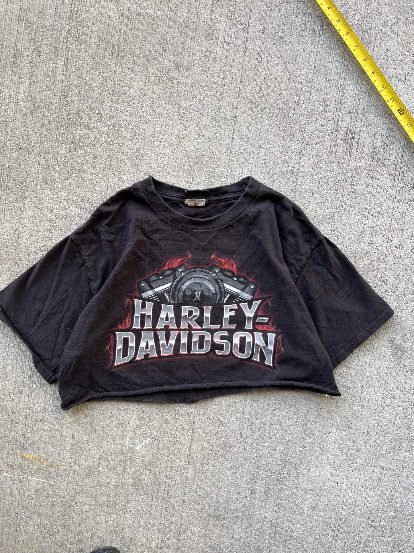 (S/M) Vintage Harley Davidson Cropped Tee