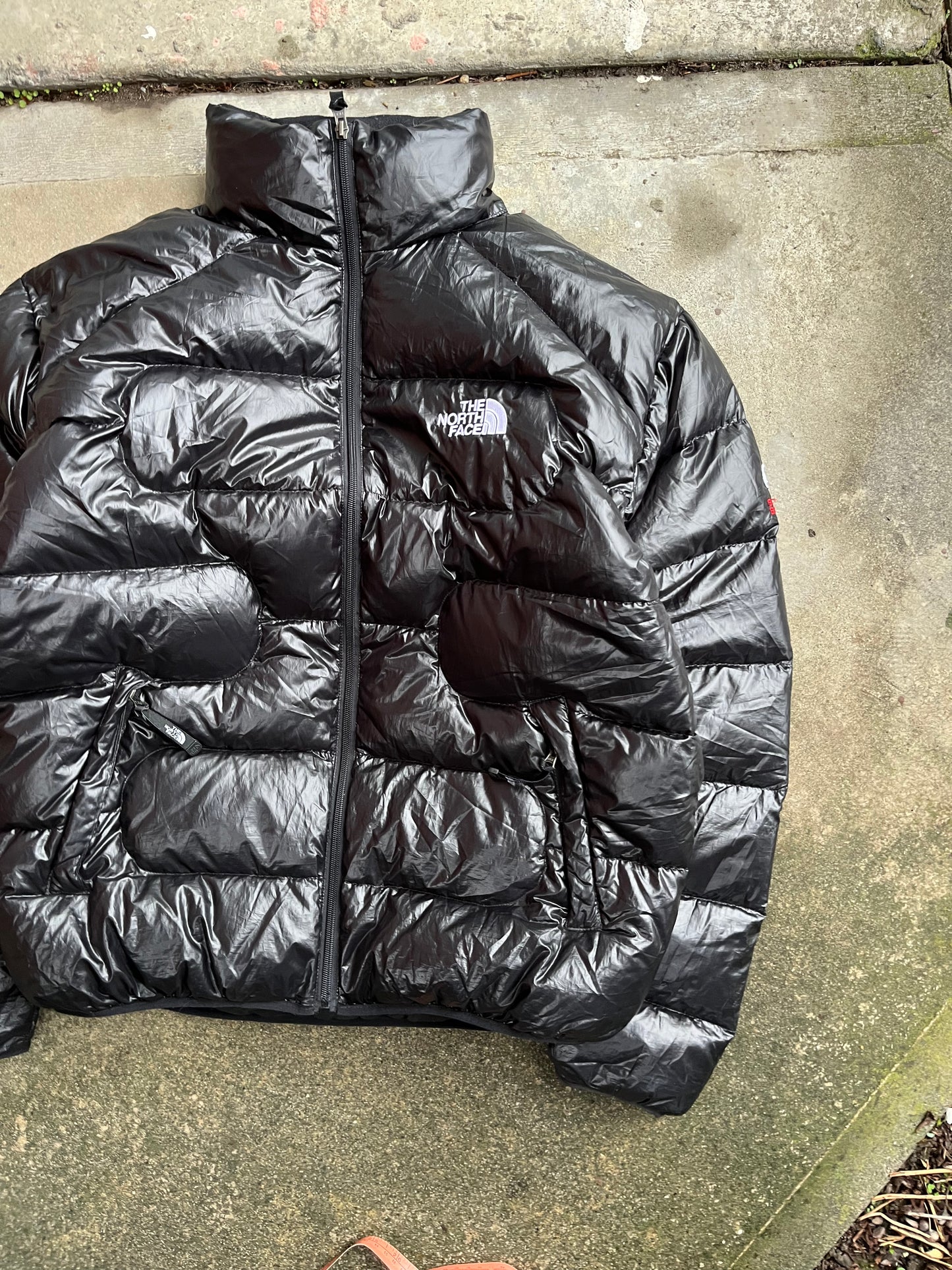 (L) 90s North Face Puffer 900 Down