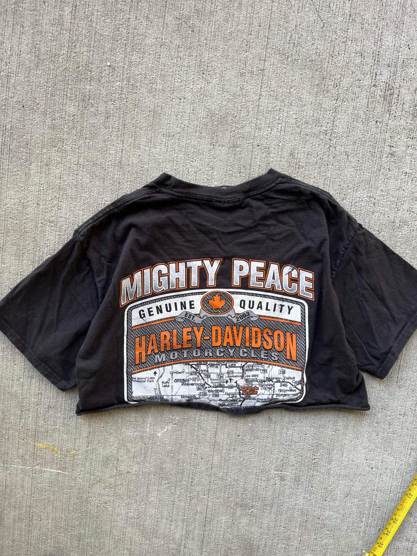 (S/M) Vintage Harley Davidson Cropped Tee