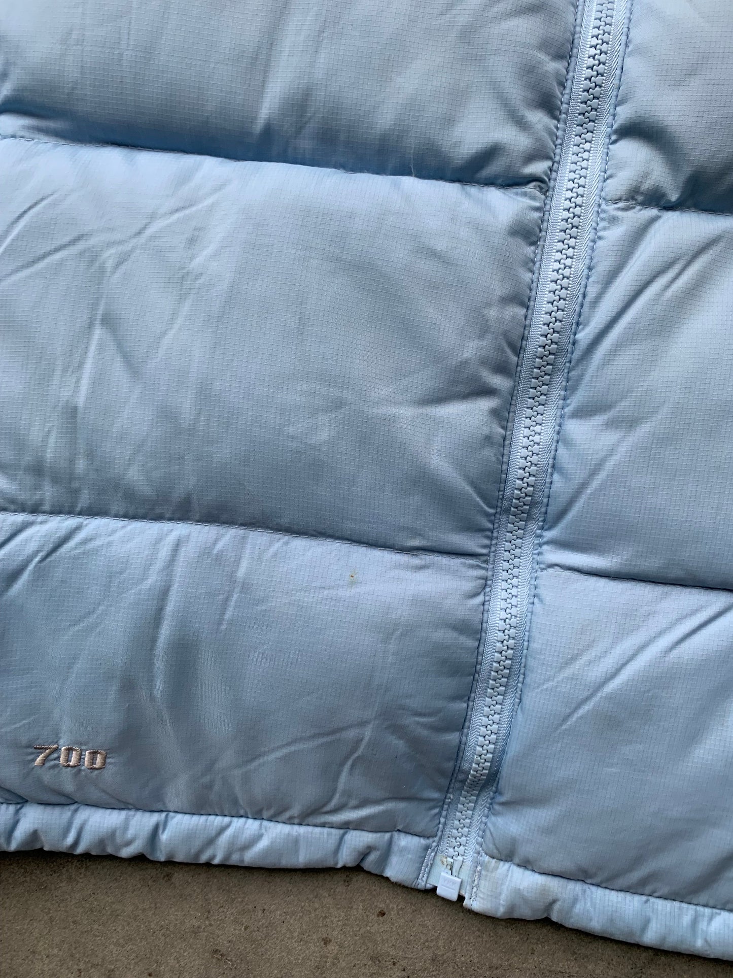 (L) The North Face Vest