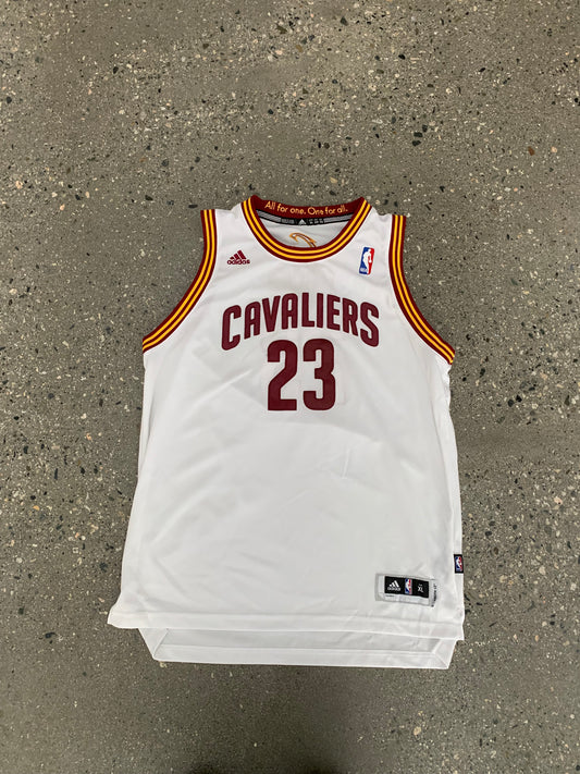 (M) Adidas Cleveland Cavs NBA LeBron James Jersey