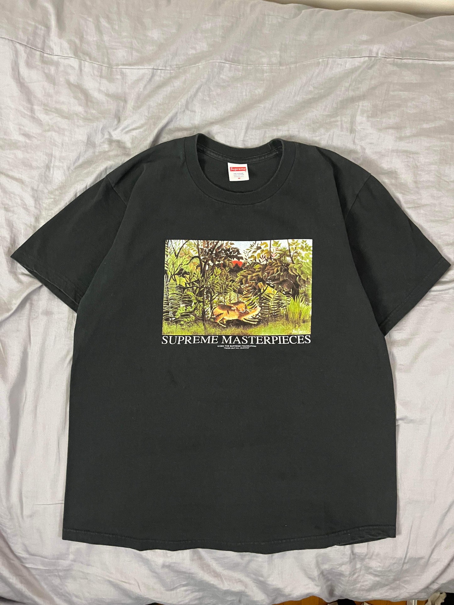 (M/L) Supreme Masterpiece Tee