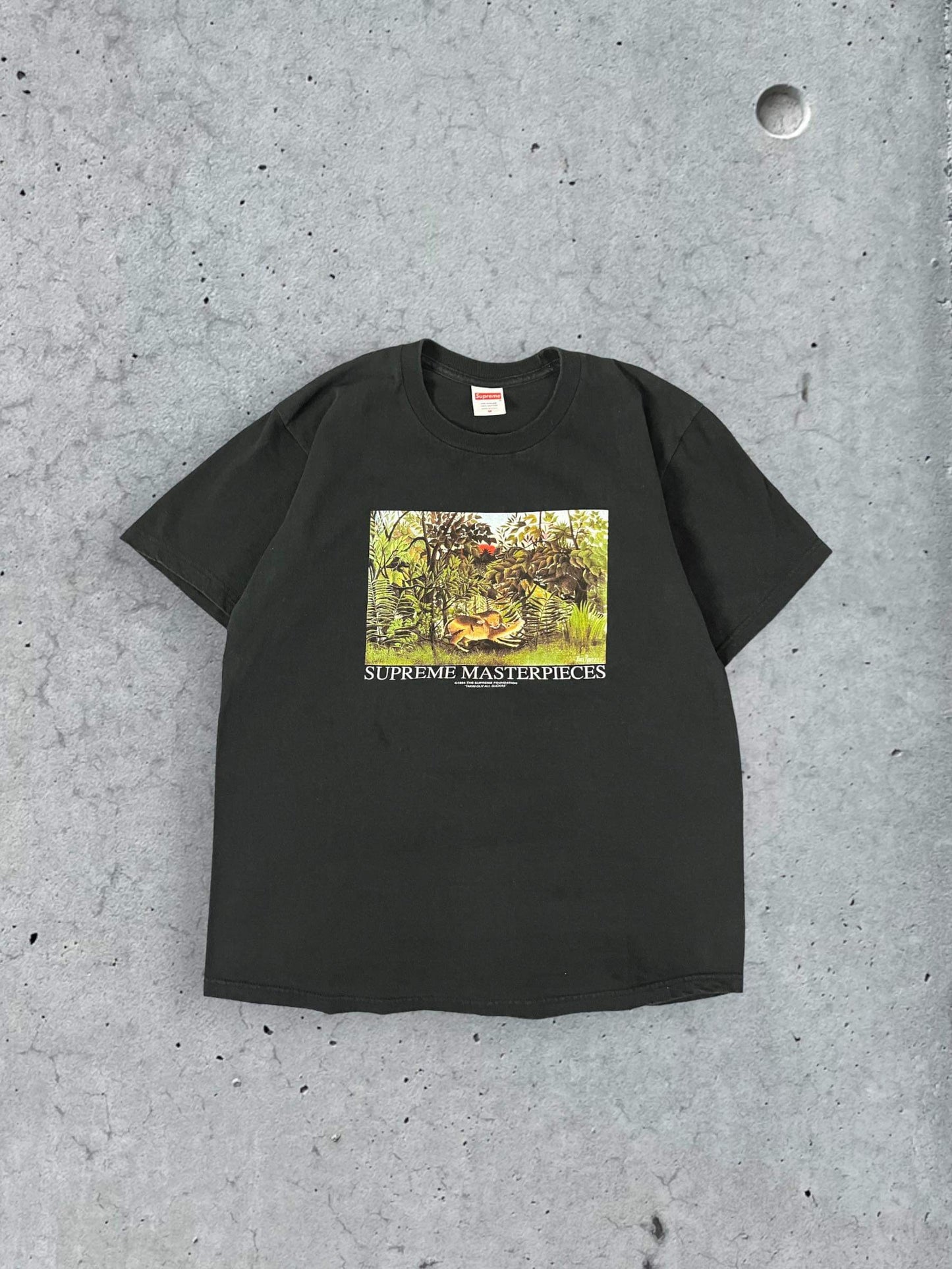 (M/L) Supreme Masterpiece Tee